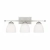 Coupon ⌛ Capital Lighting Chapman 3-light Matte Nickel Bath/Vanity Light - Matte Nickel 👍