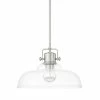 New 🔥 Capital Lighting Signature Collection 1-light Brushed Nickel Pendant 😍
