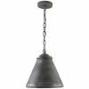 Cheapest 👏 Capital Lighting 1-light Antique Grey Pendant ⌛