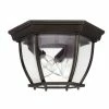 Cheap 🧨 Capital Lighting Traditional 3- Light Outdoor Flush Mount Fixture 😉