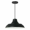 New ❤️ Capital Lighting Jones 1-light Black/ White Cord-Hung Pendant ⌛