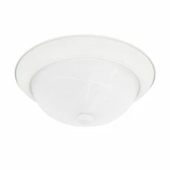 Hot Sale ✨ Capital Lighting 2-light Matte White Flush Mount 🛒