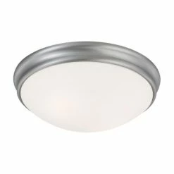 Coupon 🧨 Capital Lighting Transitional 2-light Matte Nickel Flush Mount - Matte Nickel 🧨