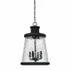 Best Pirce 💯 Capital Lighting Tory 4-light Black Outdoor Hanging Lantern ⌛