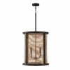 Coupon ⭐ Capital Lighting Rico 4-light Flat Black Foyer Pendant 🎁