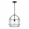 Coupon ⭐ Capital Lighting Harmon 14.25" 1-light Matte Black Pendant W/ Clear Seeded Glass & Outer Cage ❤️