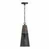 Budget 👍 Capital Lighting 1-light Bam House Pendant 🥰