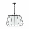 Cheapest 😉 Capital Lighting Corey 4-light Matte Black Hanging Pendant 🧨