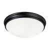 Deals ❤️ Capital Lighting 3-light Matte Black Flush Mount 🔔