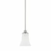 Deals 🥰 Capital Lighting Griffin 1-Light Pendant Brushed Nickel 🎉