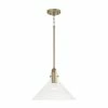 Brand new 😍 Capital Lighting Greer 1-light Pendant W/ Clear Glass Aged Brass 💯