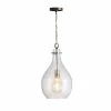 Hot Sale 🥰 Capital Lighting 1-light Polished Pewter Pendant 👍