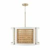 Buy ⭐ Capital Lighting Lola 4-light Chalk Wash Drum Pendant W/ Mango Wood & Water Hyacinth 🥰